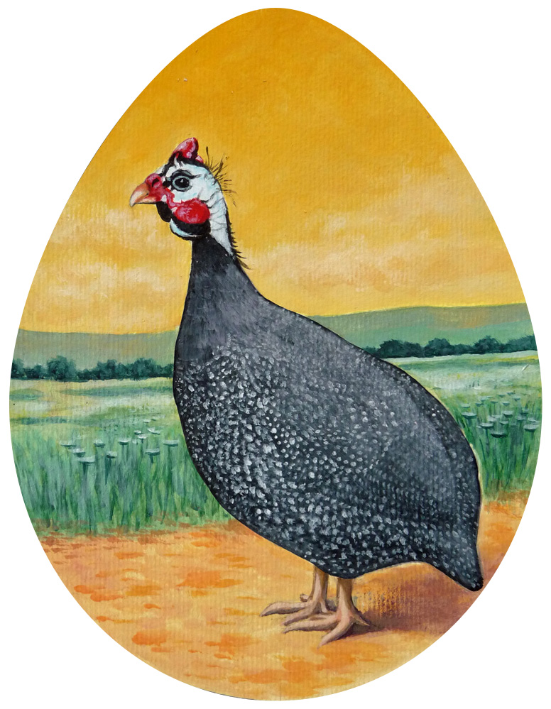 Illustrations Joulieu - Siegfried Rouja