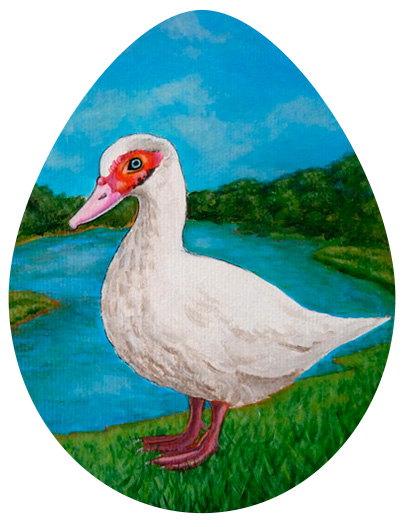 Illustrations Joulieu - Siegfried Rouja
